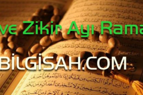 a574040810fb042e4df9e