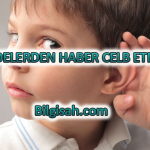 beldelerden-haber-celb-etmekfd4454e7256445f86e65