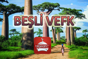 besli-vefk-nasil-yapilir-nedirb4d4f528eaace0f380b5