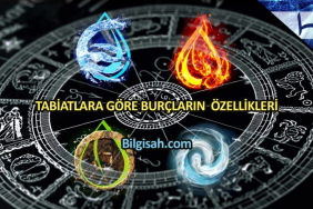 burclarin-ozellikleri5bc0522b12cff0754c24