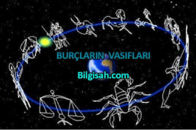 burclarin-vasiflari893e2041824fa66f1f15