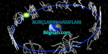 burclarin-vasiflari893e2041824fa66f1f15