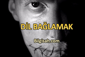 dil-baglamak-icin15693ac2d15b27d81f05