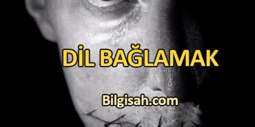 dil-baglamak-icin15693ac2d15b27d81f05