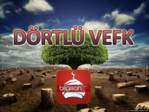 dortlu-vefkdbba3cf7b98f67a5d7ea