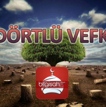 dortlu-vefkdbba3cf7b98f67a5d7ea