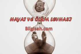 hayat-ve-olum-levhasid2b5cc6db4d5e510f568