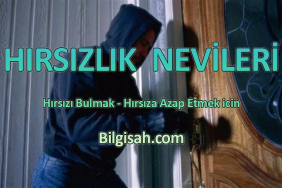 hirsizlik-nevileri06330aebc2b0b6bea2fd