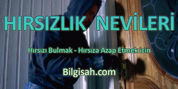 hirsizlik-nevileri06330aebc2b0b6bea2fd