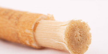 misvagin-faydalarif6915f52154fa1564a71