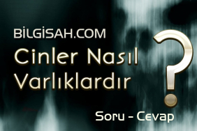 peri-nedir-cinlerin-nitelikleri-hakkinda-bilgi-verir-misiniz4d94e0779059888cc94c