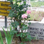 timurtas-ucar-hocaefendibf97e0572bdf4f8312b3