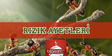 rizk-ayetleri-978295-89eb34a8172bd0d79391