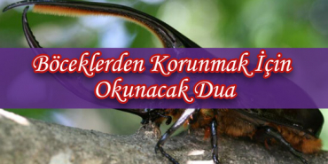 boceklerden-korunmak-b3563717807db2a1286e