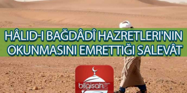 hlid-i-bagdd-hazretl-ecb09e539edfdf269671