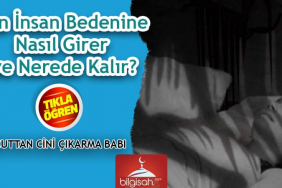 cin-insan-bedenine-n-c1b50eaac8176c35a369