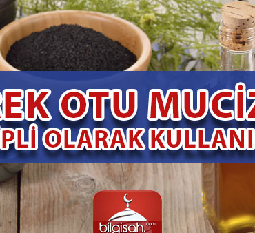 corek-otu-mucizesi-t-6fcfaf88cb3aab734a3f